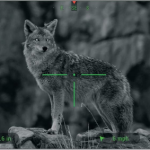 Best LPVO for Coyote Hunting