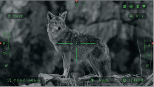 Best LPVO for Coyote Hunting