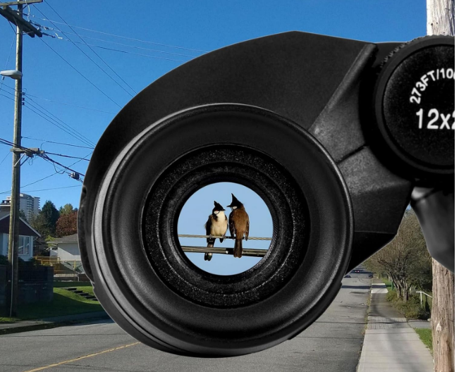 Best Compact Binoculars