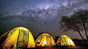 Best Binoculars for Stargazing