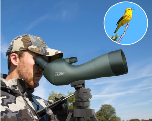 Best Budget Spotting Scope for Birding