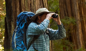 Best Binoculars for Birding