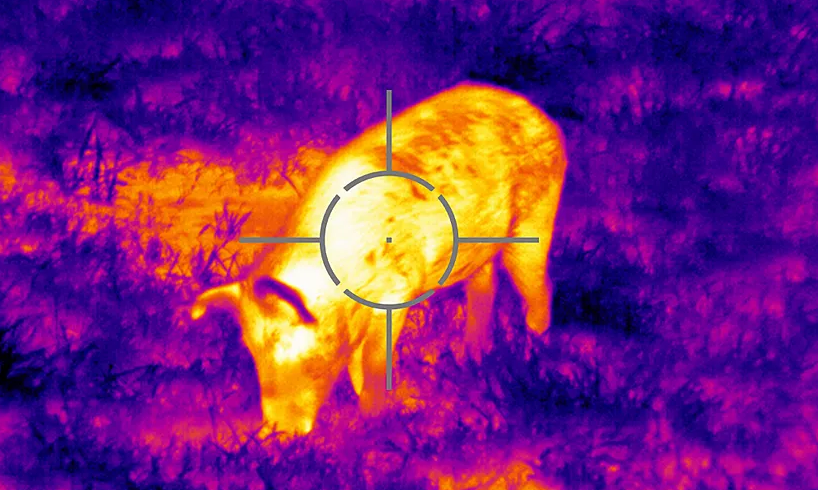 Best Thermal Rifle Scope for Hog Hunting