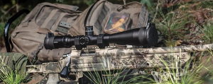 Best Scope for Springer Air Rifle