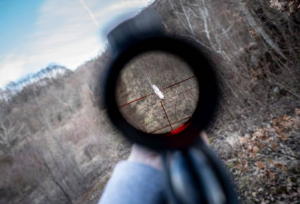 Best Shotgun Sights for Wingshooting