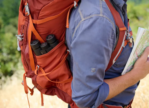 Best 10x42 Binoculars for Birdwatching