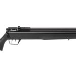 Best Pellet Gun for Shooting Iguanas