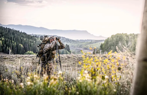 Best Hunting Tripods for Spotting Scopes