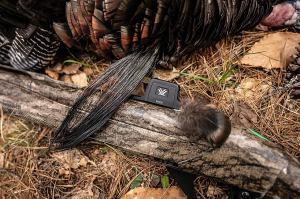 Best Vortex Red Dot for Turkey Hunting