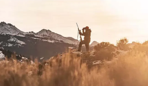 Best Scopes for Prairie Dog Hunting