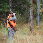 Best 10x50 Binoculars