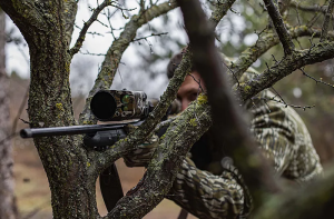 Best Scope for AR-15