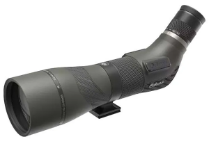 burris signature hd 20-60×85