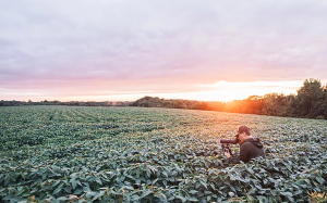 Best Spotting Scope for Hunting