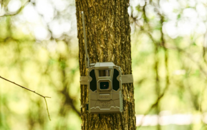 Best Trail Camera for Home Security