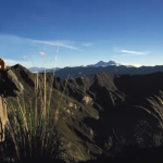 Best Binoculars for Safari