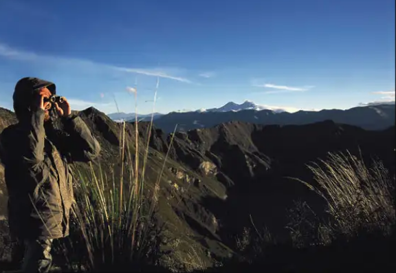 8 Best Binoculars for Safari