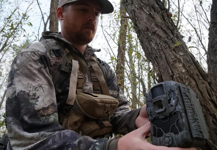8 Best Trail Cameras for the Money